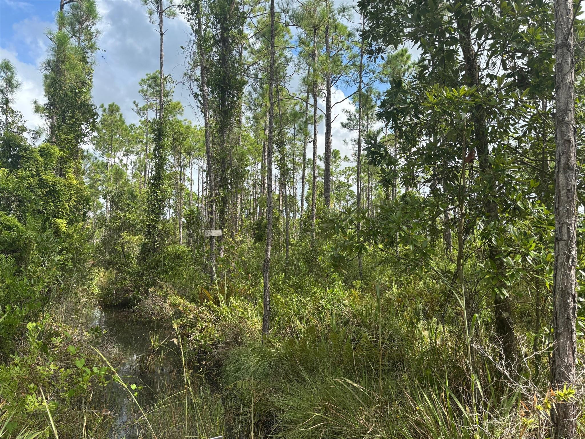 0 Co Road, Lake Wales, FL 33898, Lake Wales