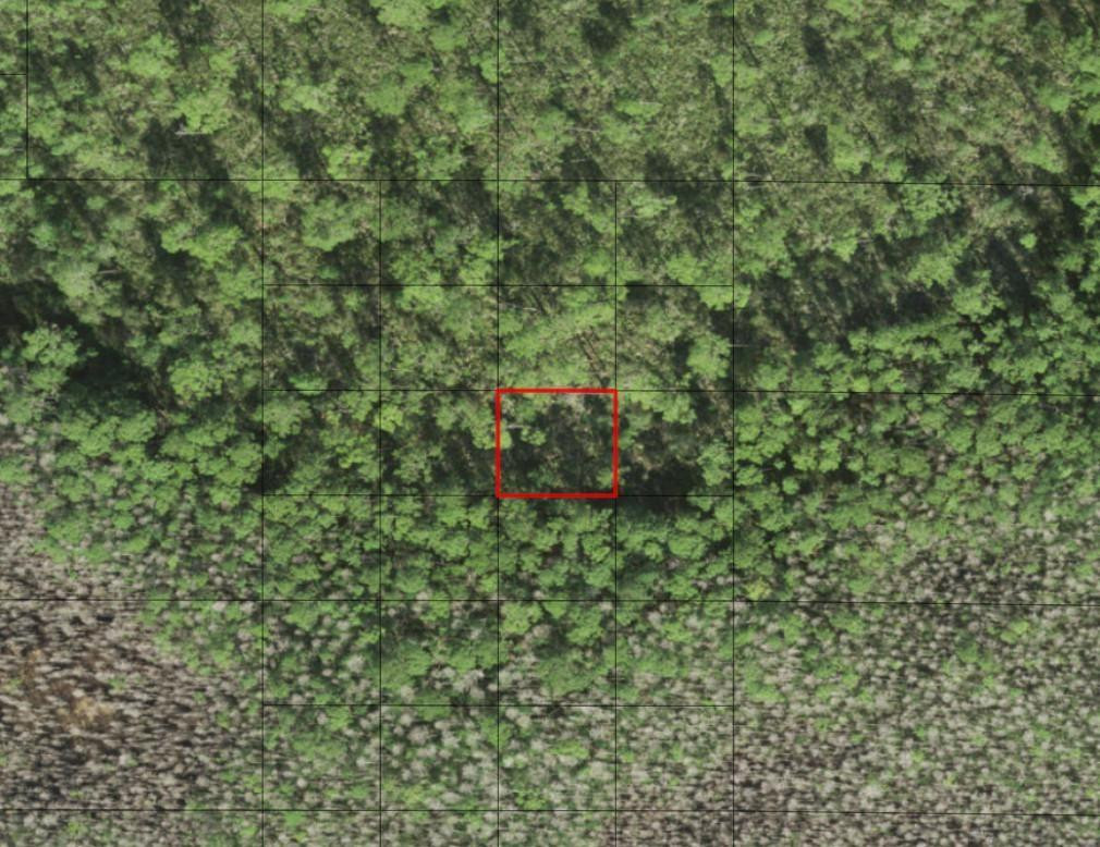 0 Holopaw Groves Road, St. Cloud, FL 34772, St Cloud