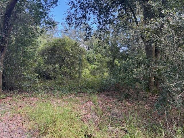 0 County Rd 54, Kathleen, FL 33849, Kathleen