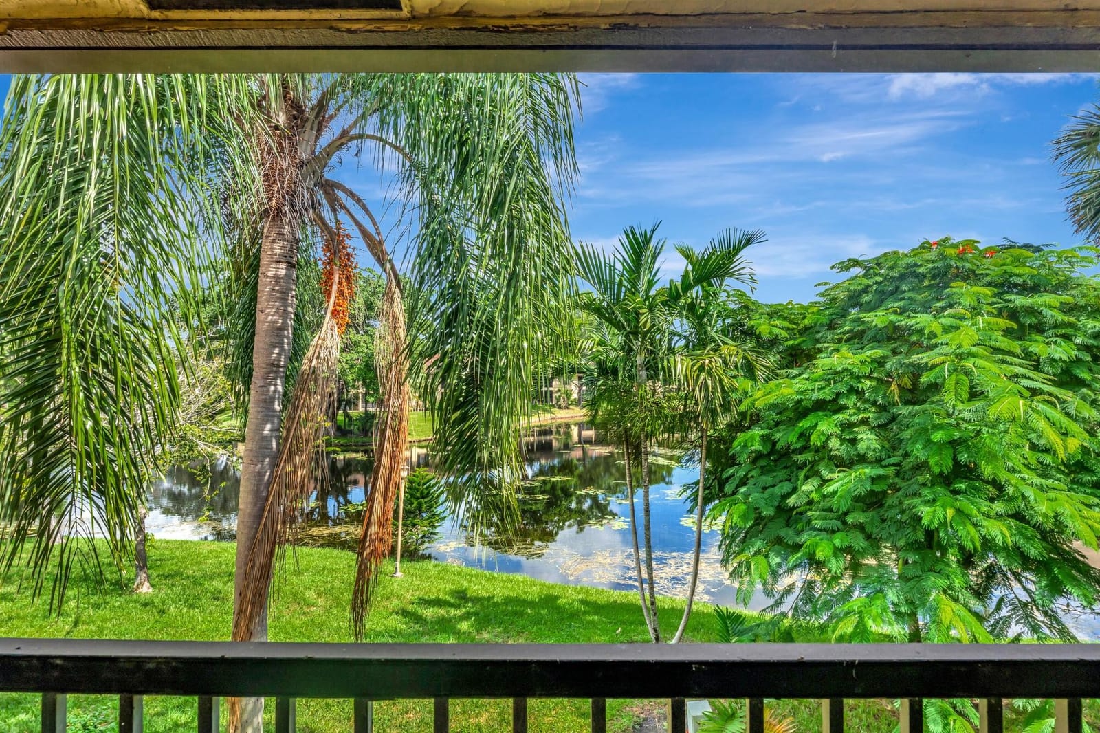 3161 Carambola Circle 2381, Coconut Creek, FL 33066 photo 5