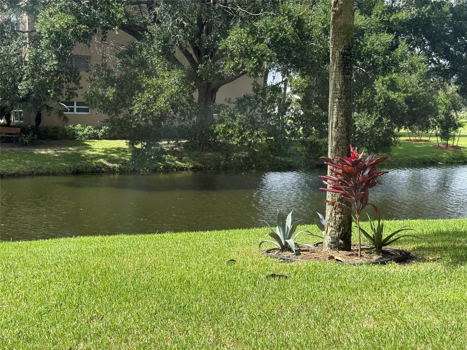 4302 Martinique H1 — photo 6