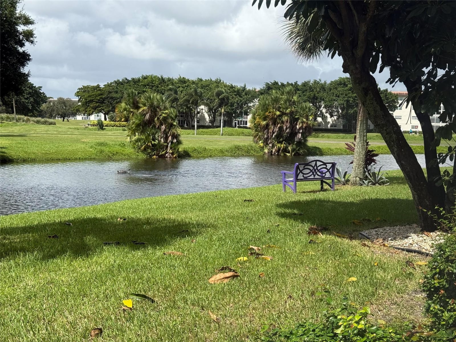 4302 Martinique H1 — photo 7