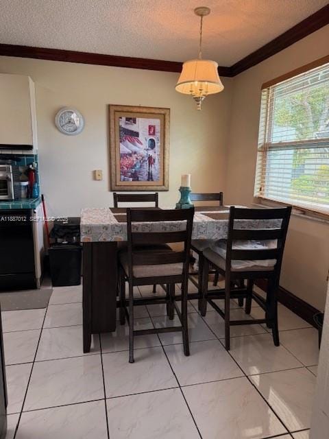 4953 Alder Drive C — photo 4