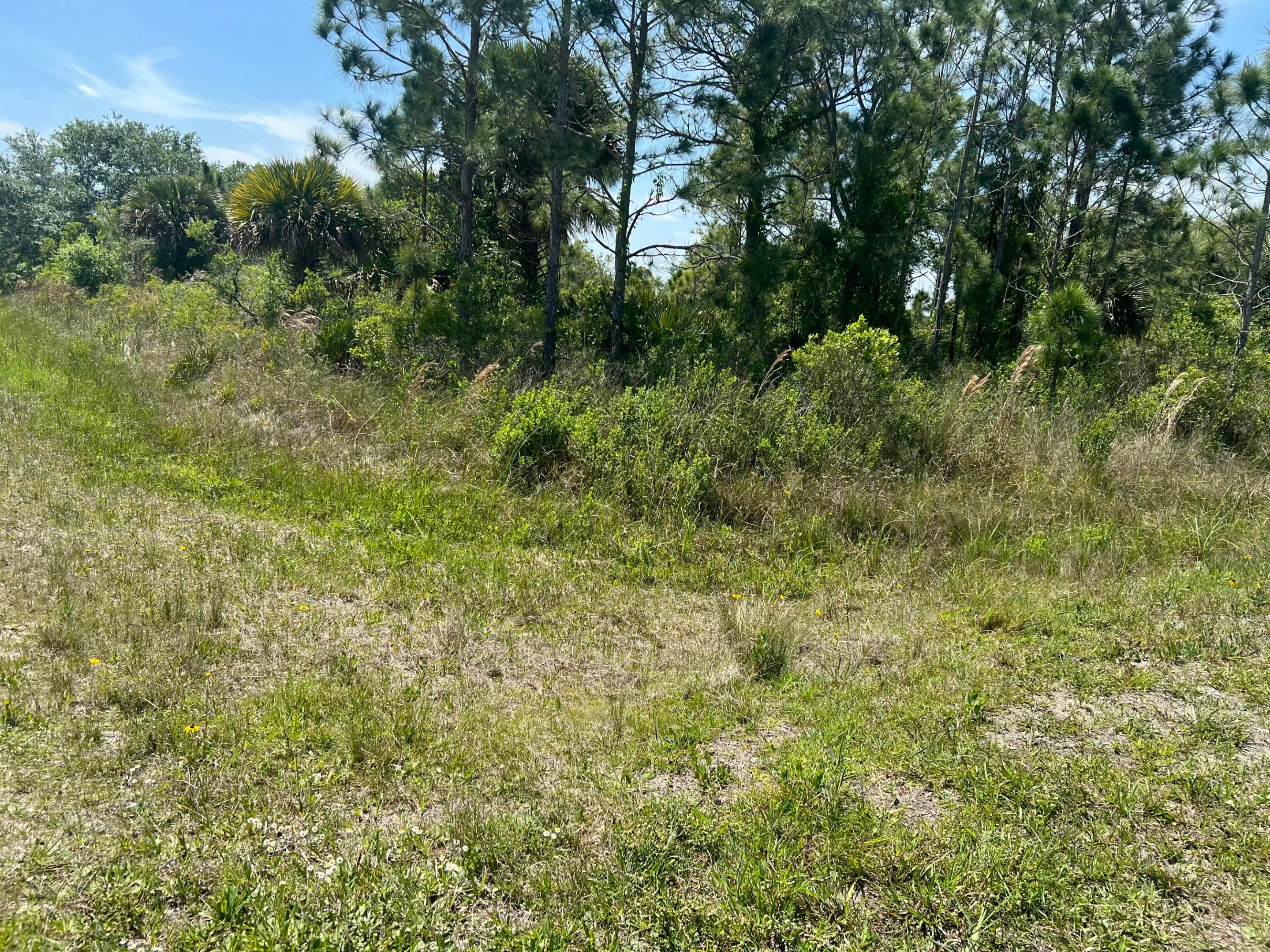 17616 NW 300th Street, Okeechobee, FL 34972, Okeechobee