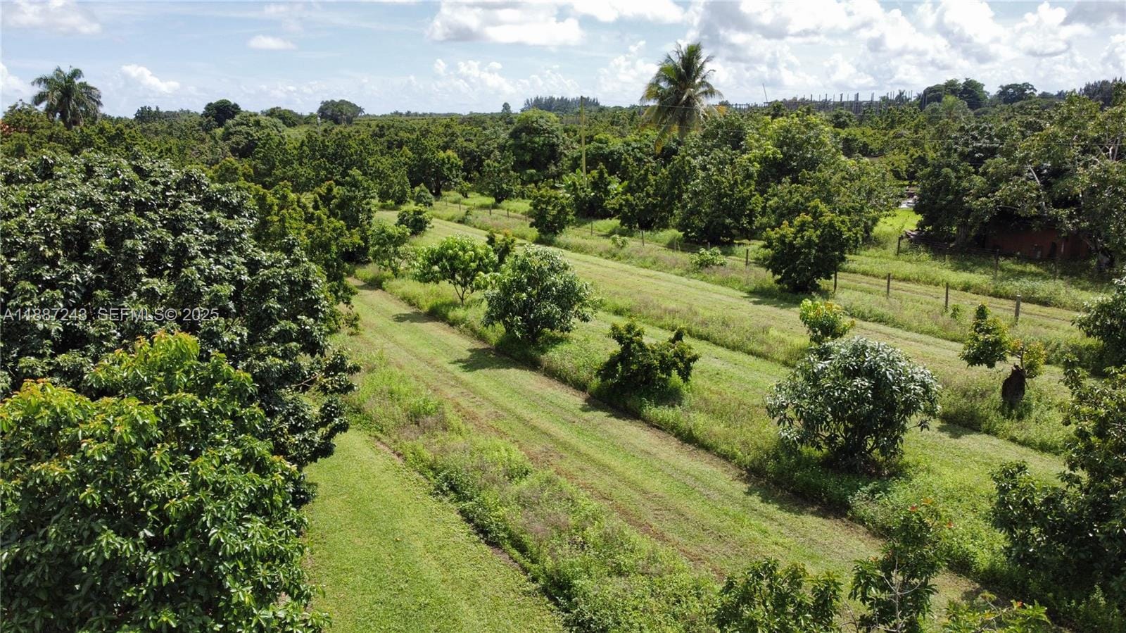 23440 SW 159th Avenue, Homestead, FL 33031 photo 17