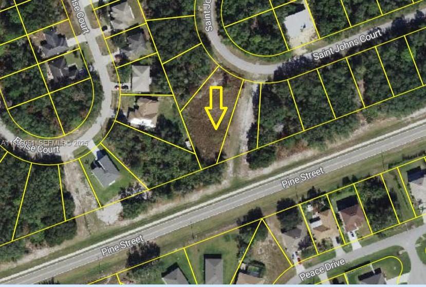 531 Johns Ct, Kissimmee, Fl 34759 Street, FL 34759, Kissimmee