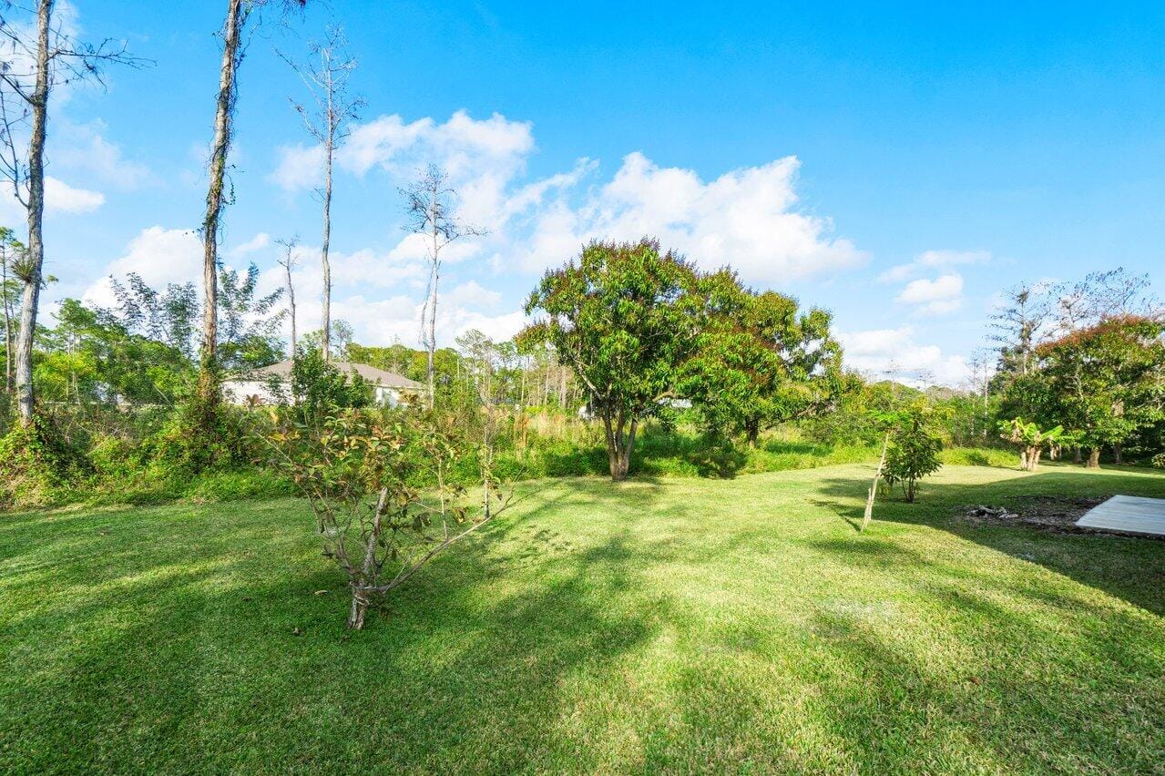 16437 80th Street N, The Acreage, FL 33470 photo 17