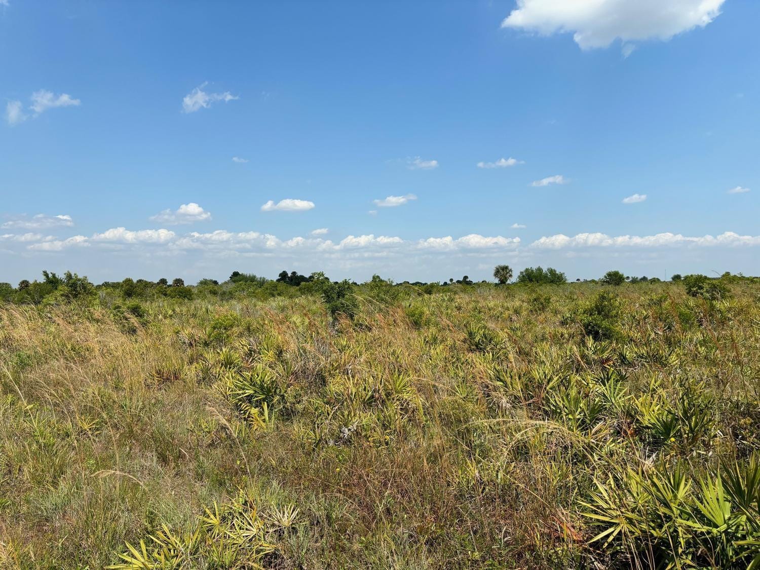 0 NW 318th Street, Okeechobee, FL 34972