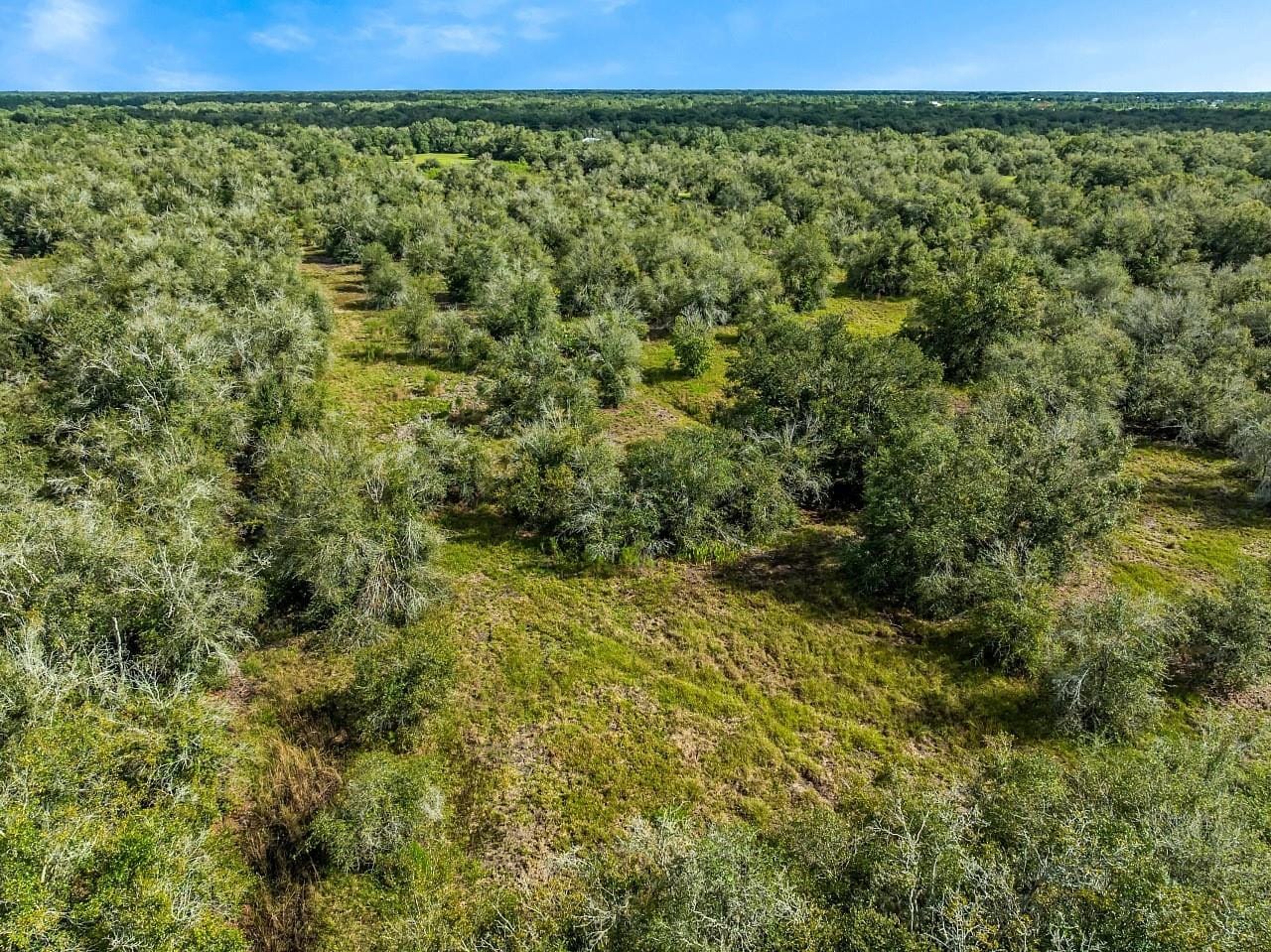 17435 NW 248th Street, Okeechobee, FL 34972 photo 12