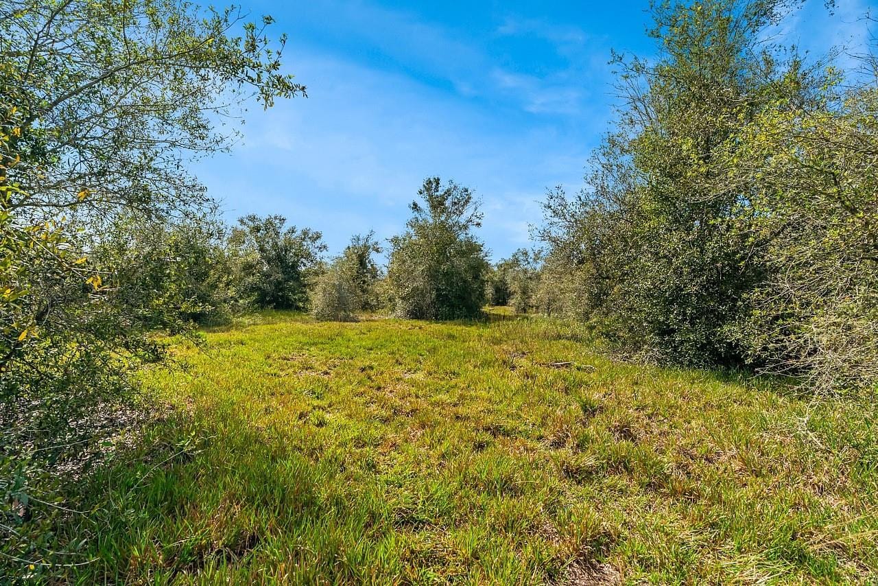 17435 NW 248th Street, Okeechobee, FL 34972 photo 22