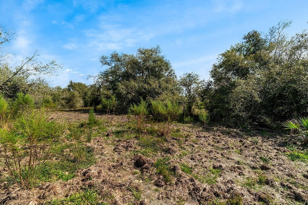 17435 NW 248th Street, Okeechobee, FL 34972 photo 23