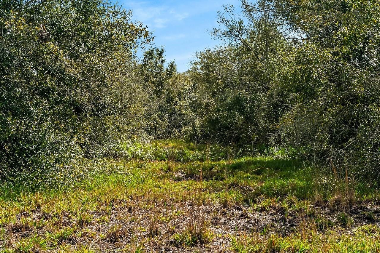 17435 NW 248th Street, Okeechobee, FL 34972 photo 24