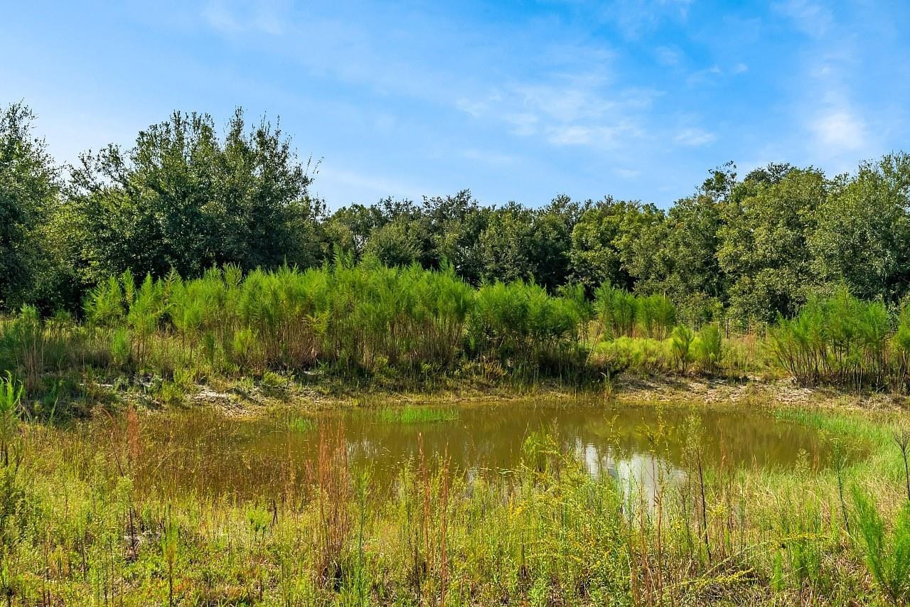 17435 NW 248th Street, Okeechobee, FL 34972 photo 25