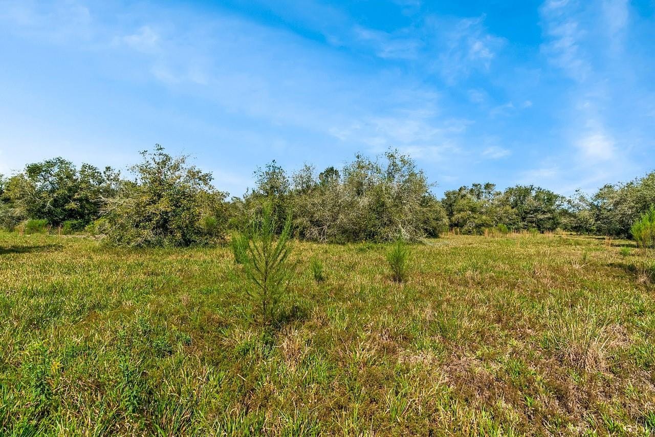 17435 NW 248th Street, Okeechobee, FL 34972 photo 28
