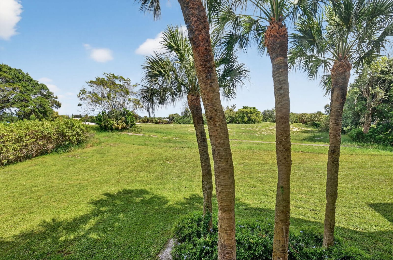 5340 NW 2nd Avenue 220, Boca Raton, FL 33487 photo 6