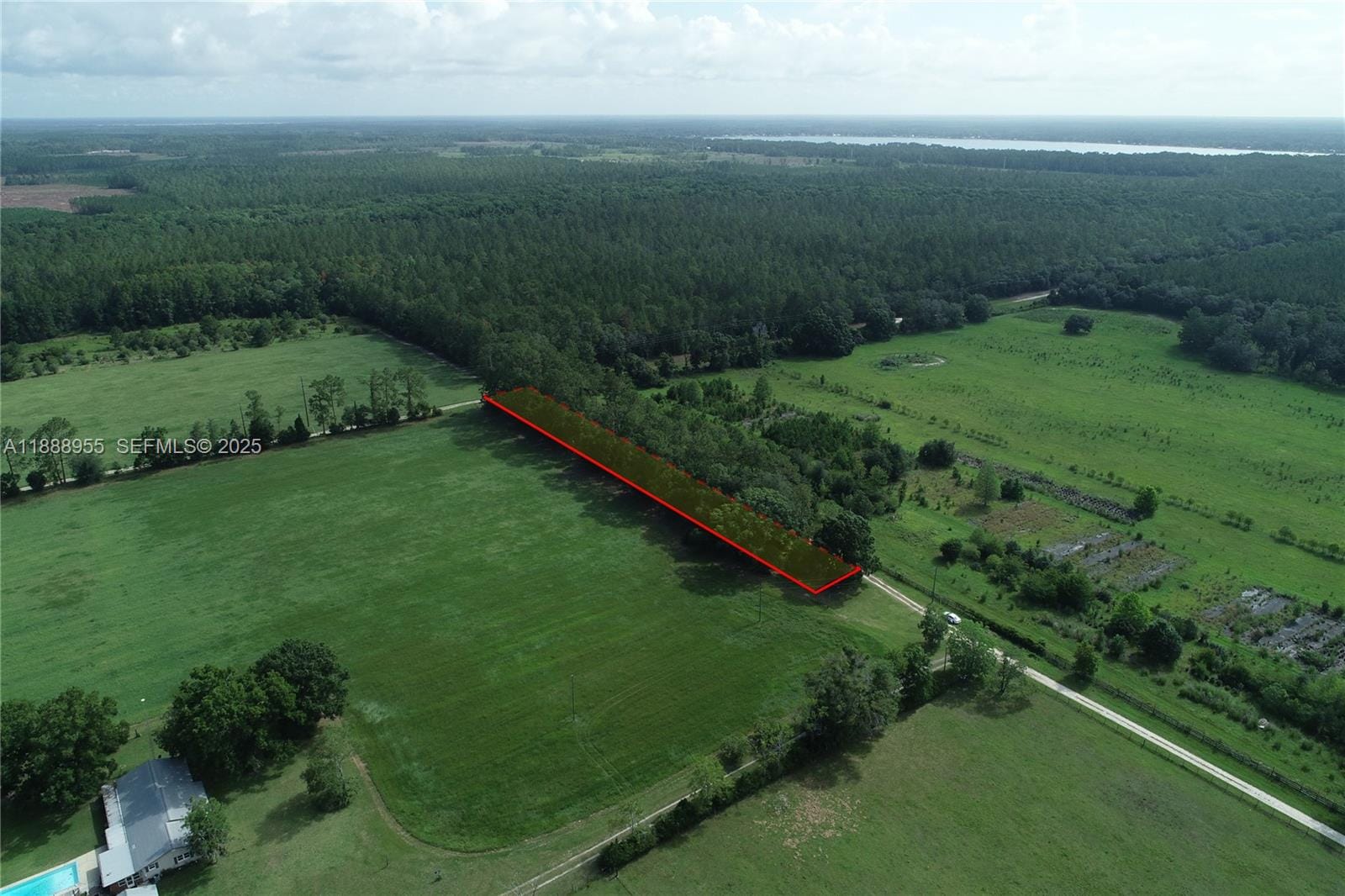 20220 NE 118th Terrace, FL 32694 photo 6