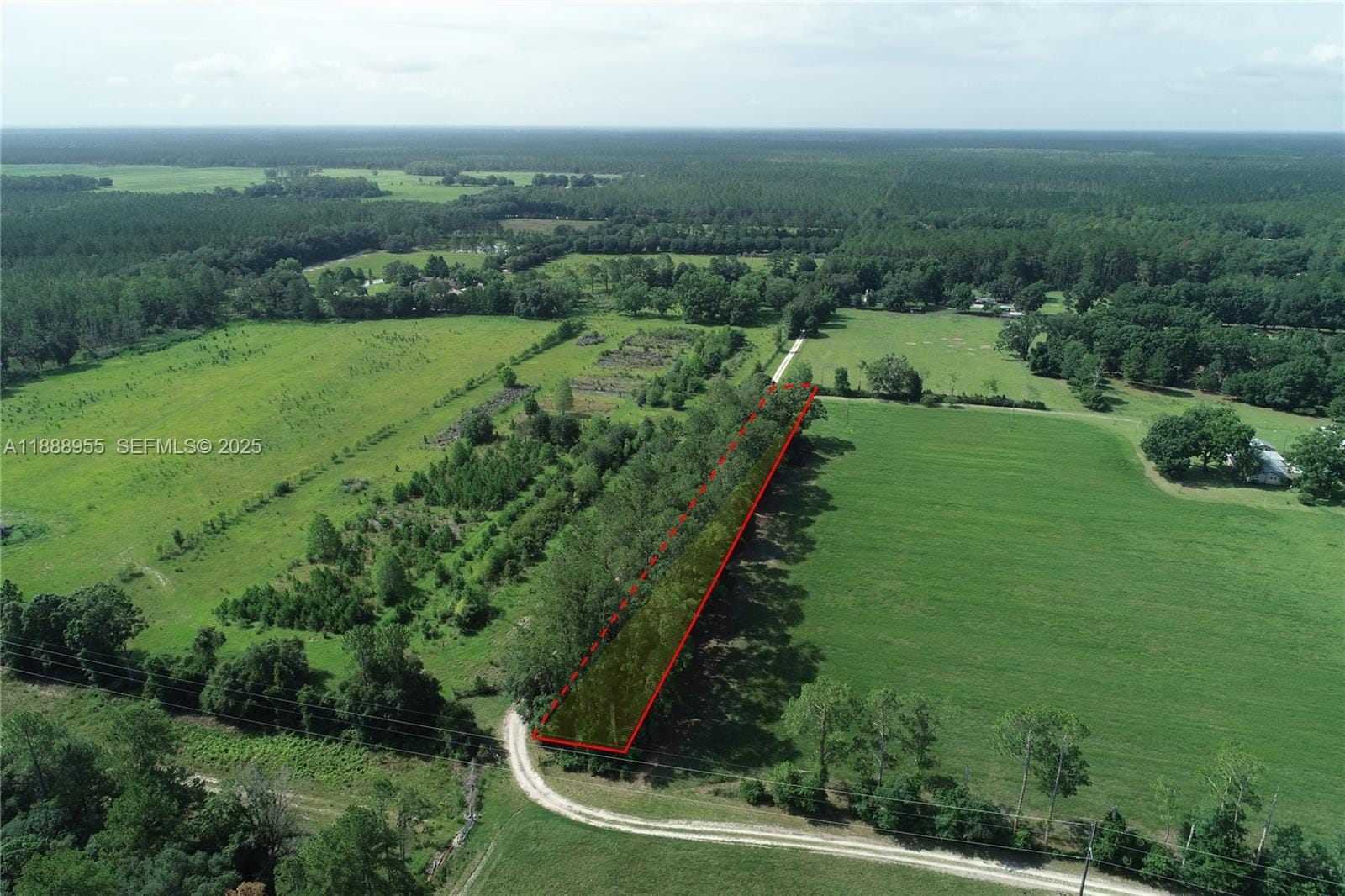 20220 NE 118th Terrace, FL 32694 photo 7