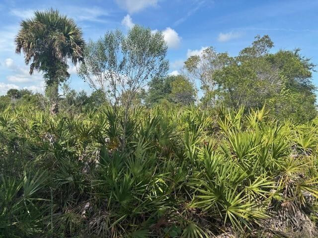 0 NW 310th Street, Okeechobee, FL 34972, Okeechobee
