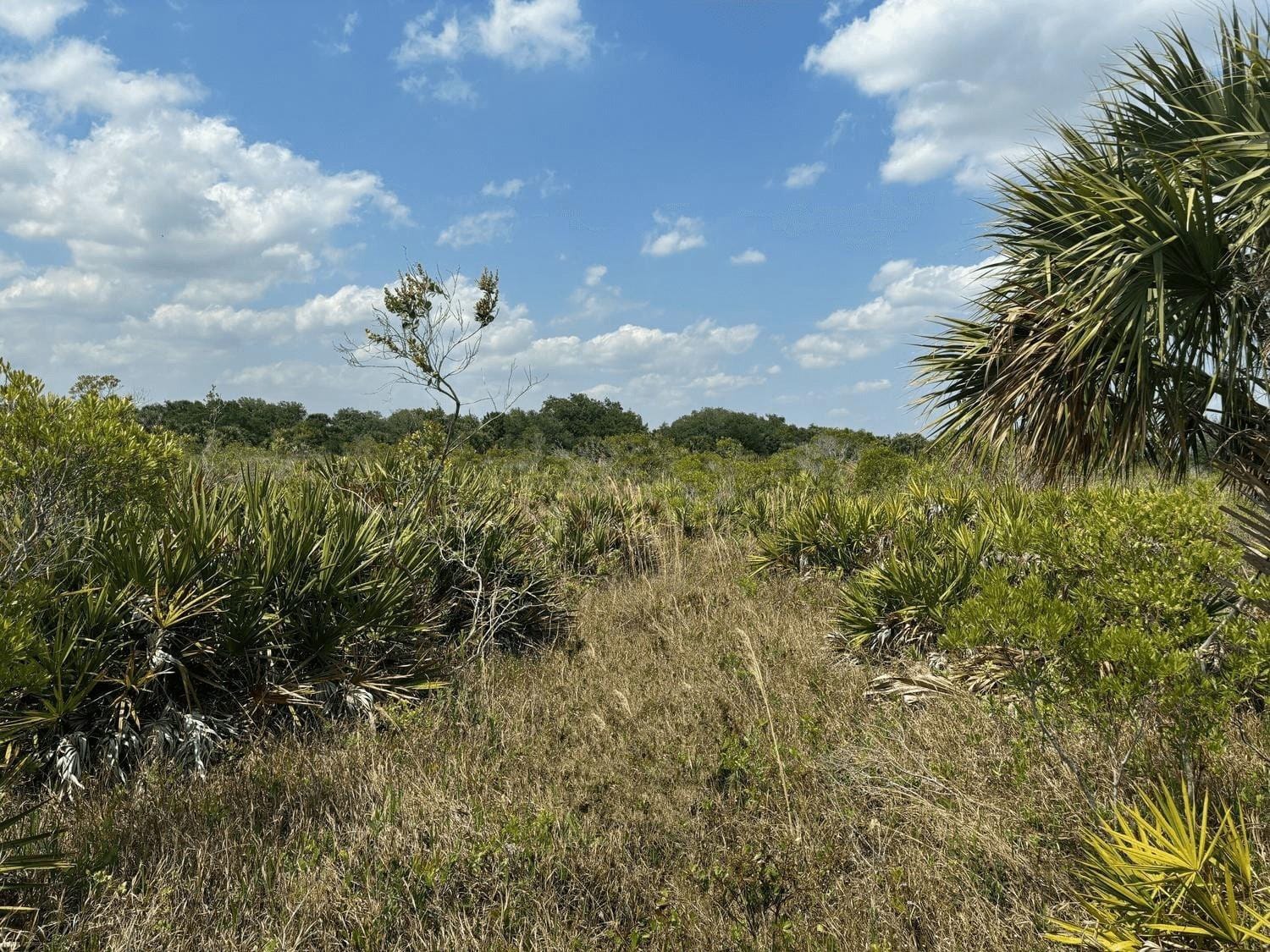 0 NW 306th Street, Okeechobee, FL 34972
