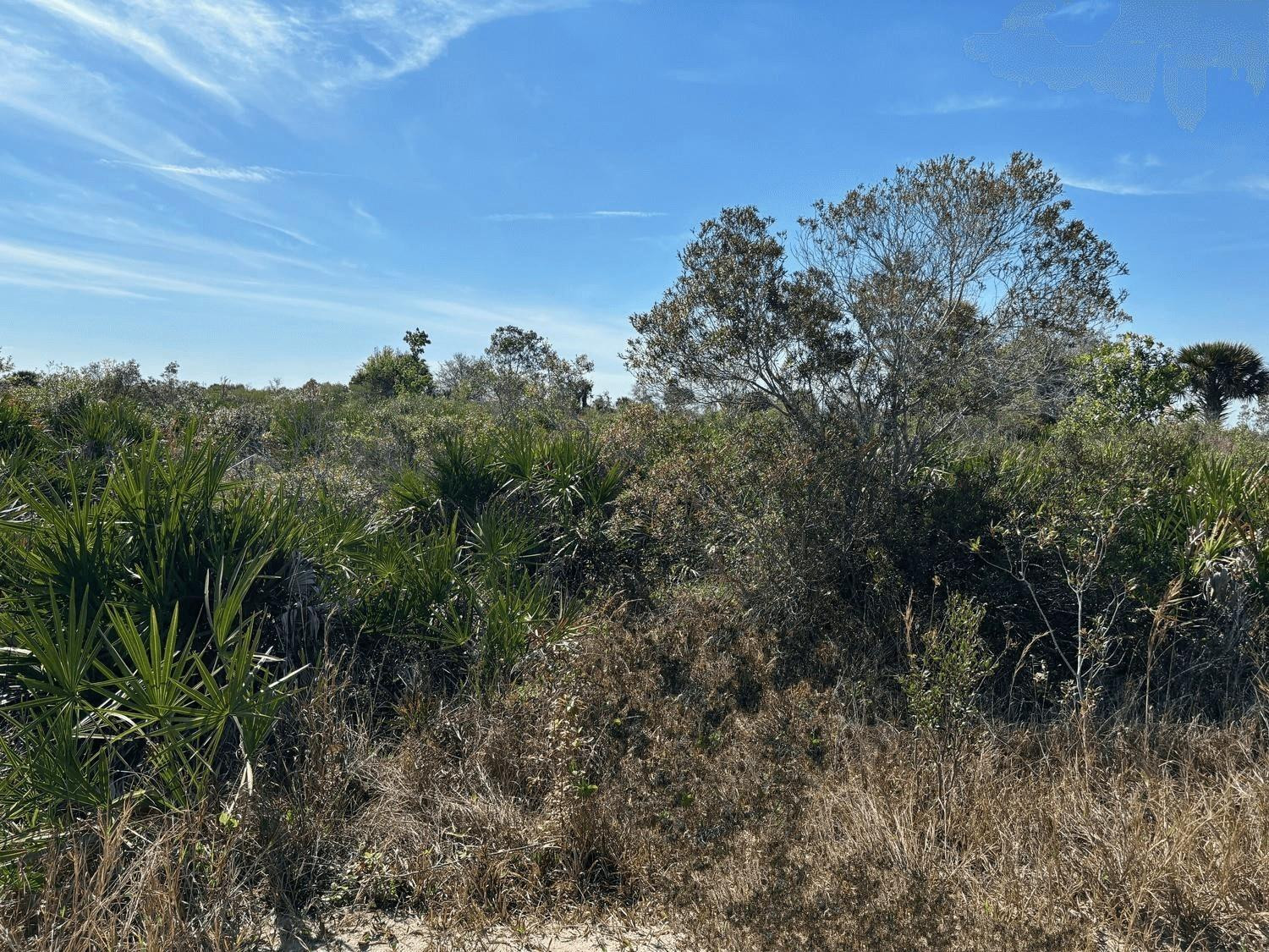 0 NW 308th Street, Okeechobee, FL 34972, Okeechobee