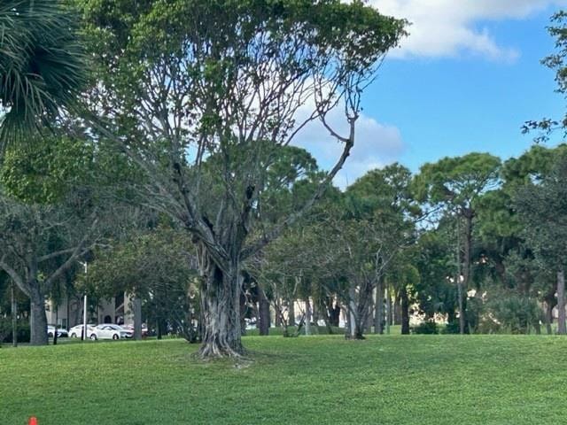 6061 N Falls Circle Drive 102, Lauderhill, FL 33319 photo 26