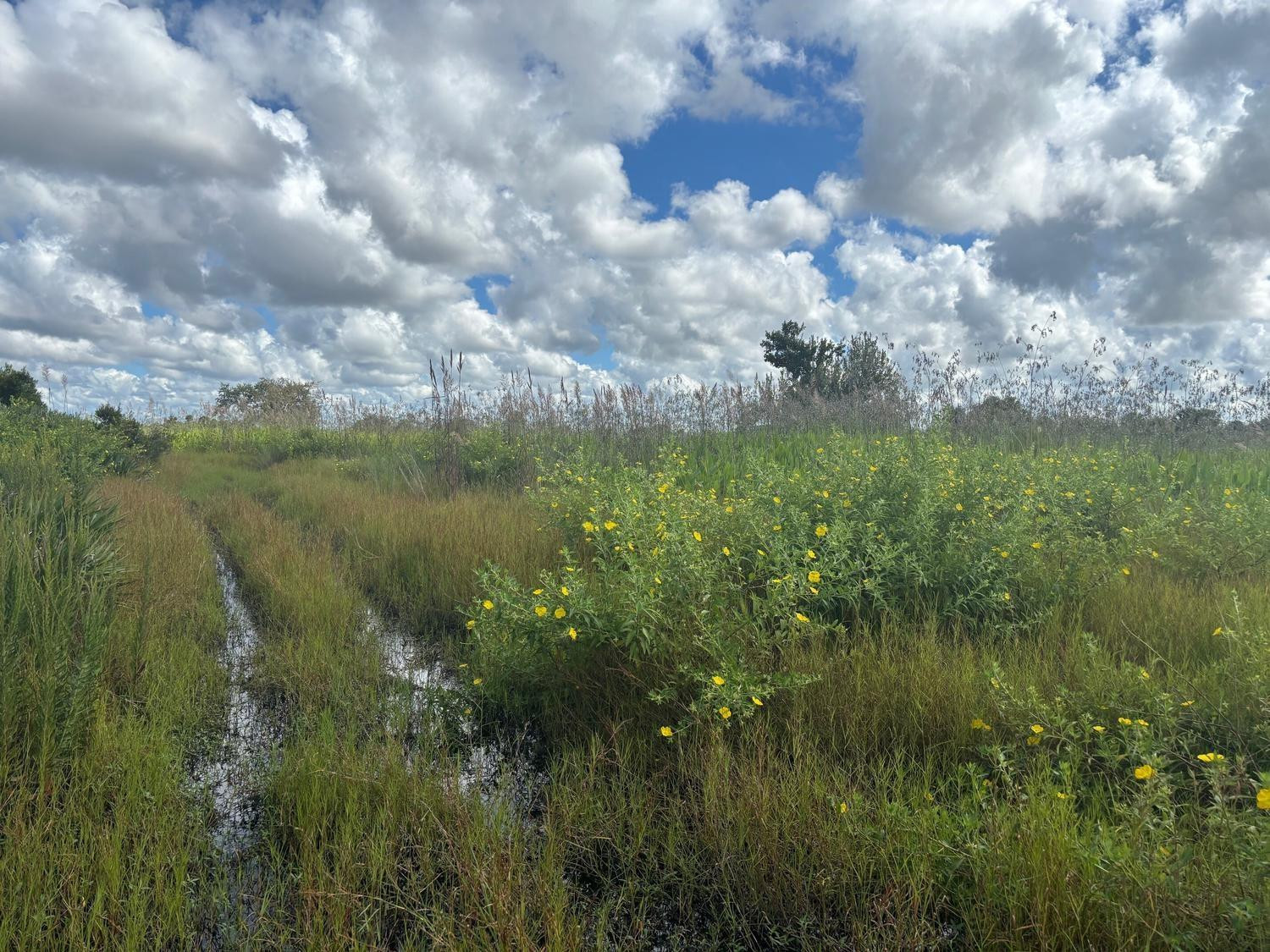 0 NW 316th Street, Okeechobee, FL 34972, Okeechobee