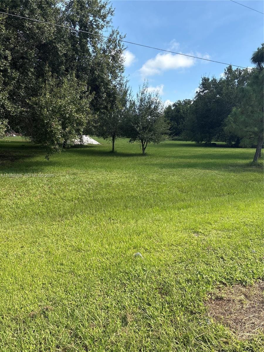 357 Horse Club, Clewiston, FL 33440 photo 15
