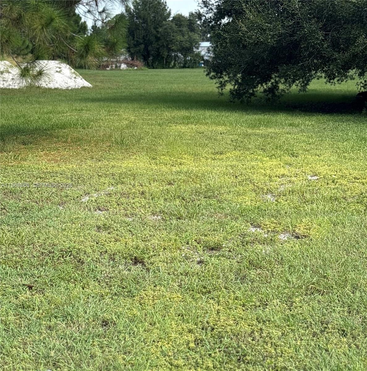 357 Horse Club, Clewiston, FL 33440 photo 17
