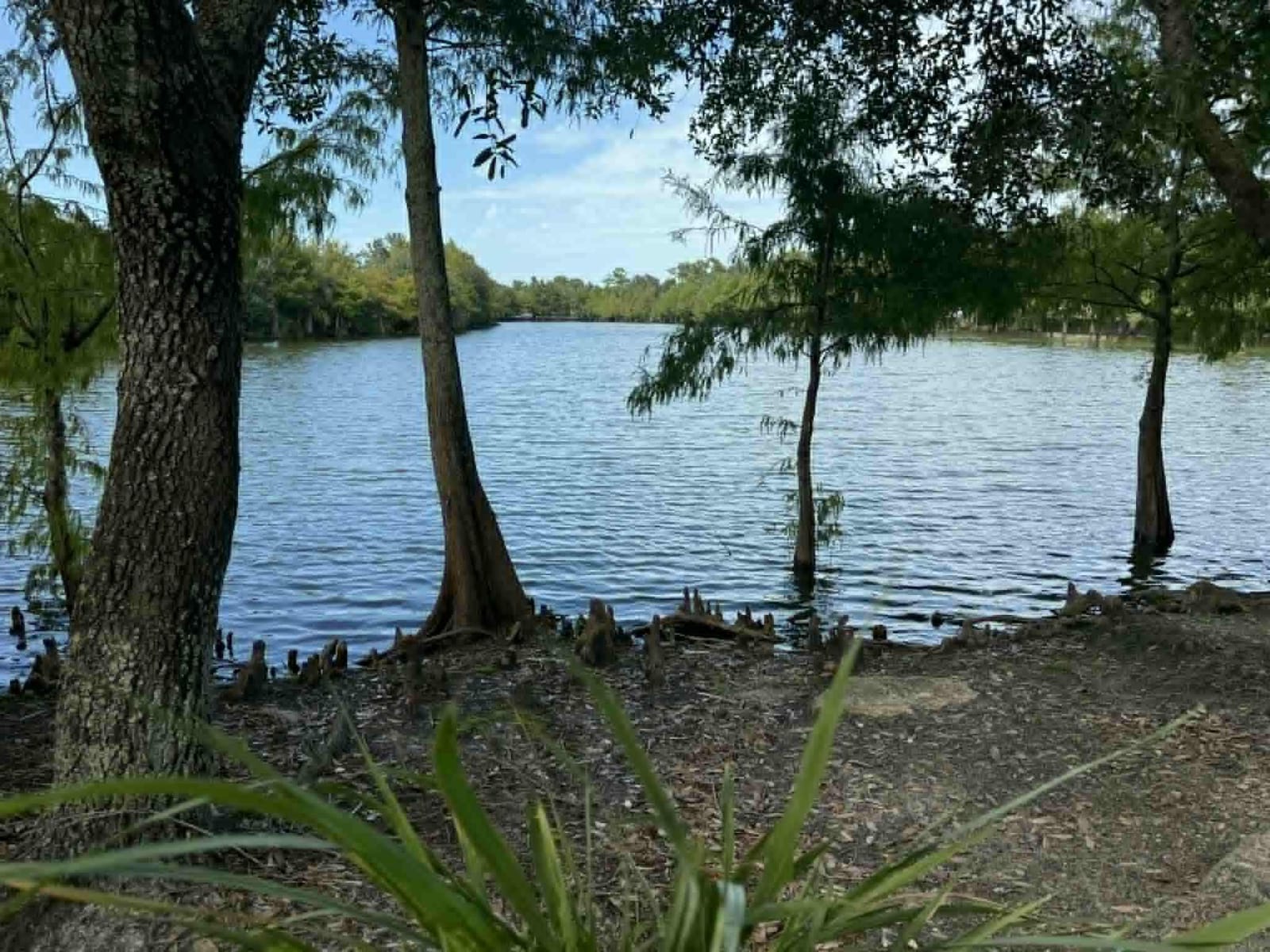 2527 SE Ruskin Drive, Port St. Lucie, FL 34952 photo 26