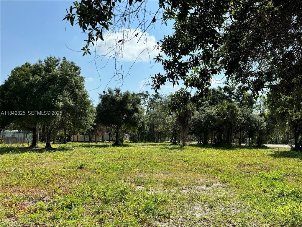 0 Magnolia Avenue — photo 6