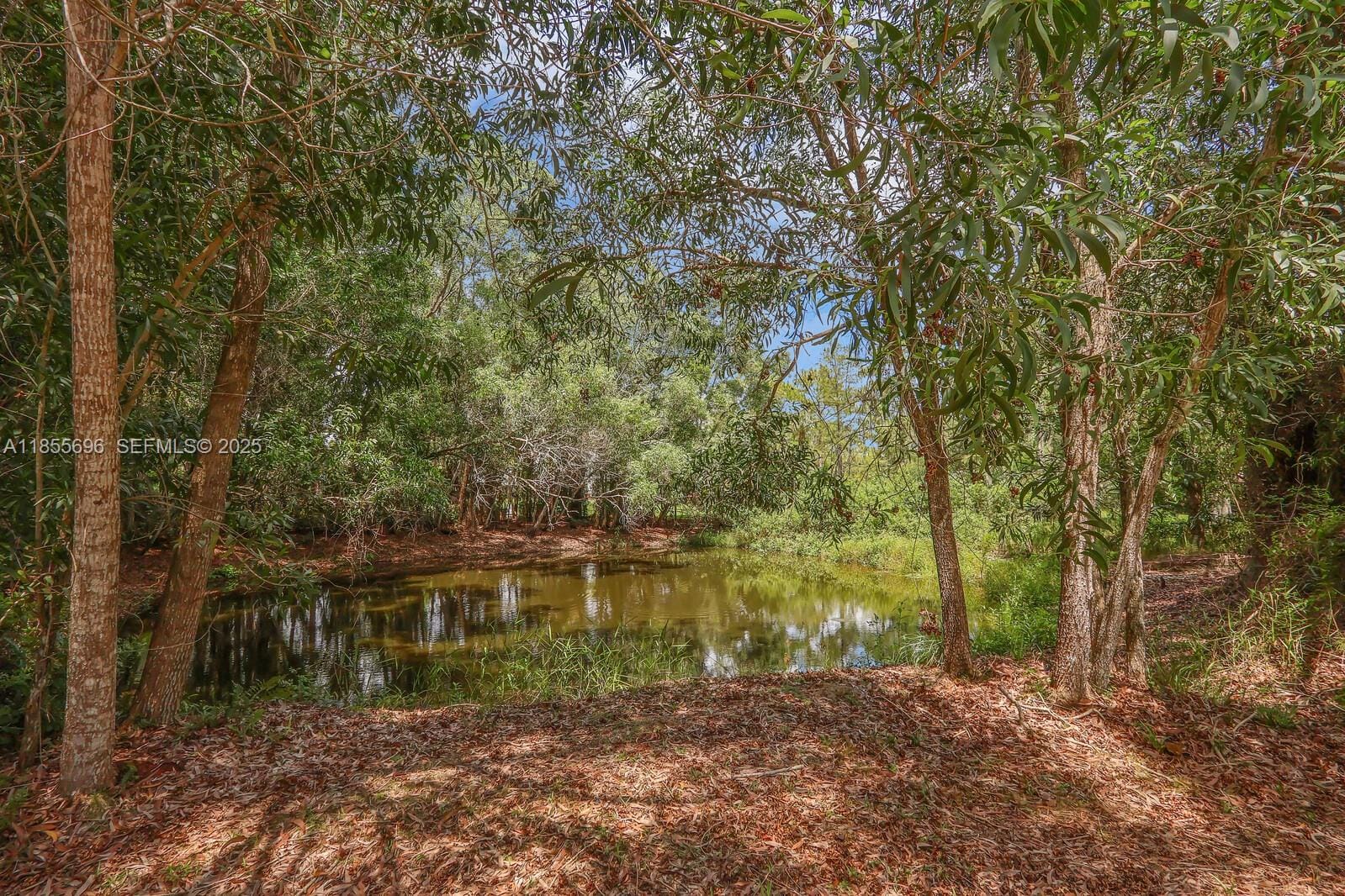 15649 Alexander Run, Jupiter, FL 33478 photo 13