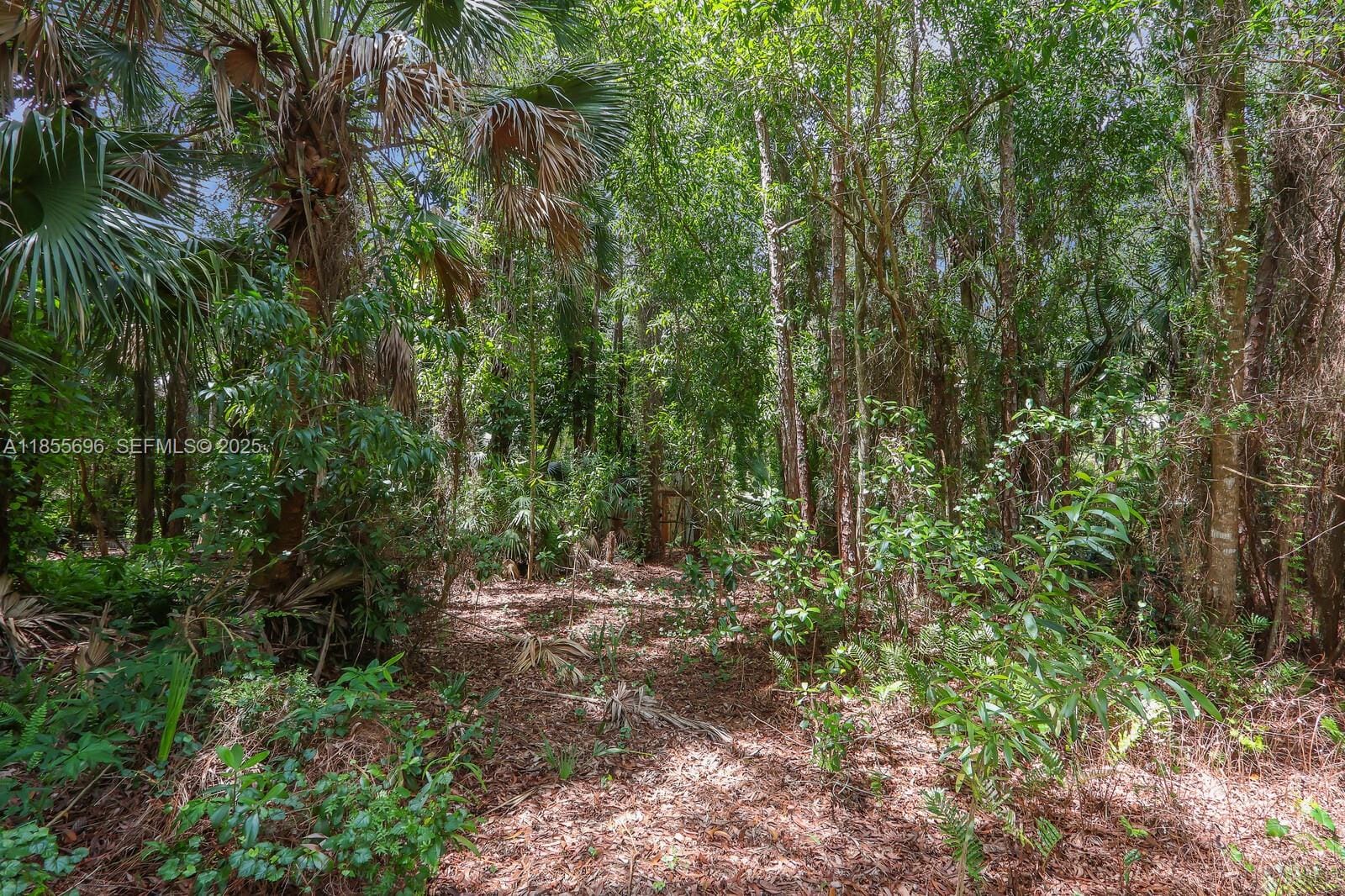 15649 Alexander Run, Jupiter, FL 33478 photo 14
