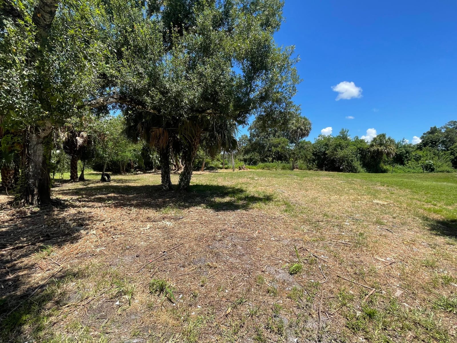 716 NE 15th Avenue, Okeechobee, FL 34972 photo 2
