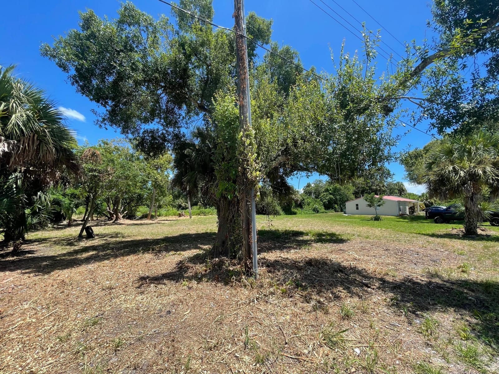 716 NE 15th Avenue, Okeechobee, FL 34972 photo 3