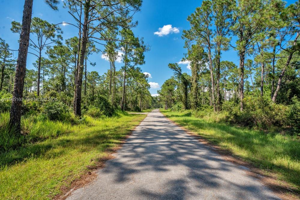 8176 Mantua Avenue, Sebring, FL 33872, Sebring