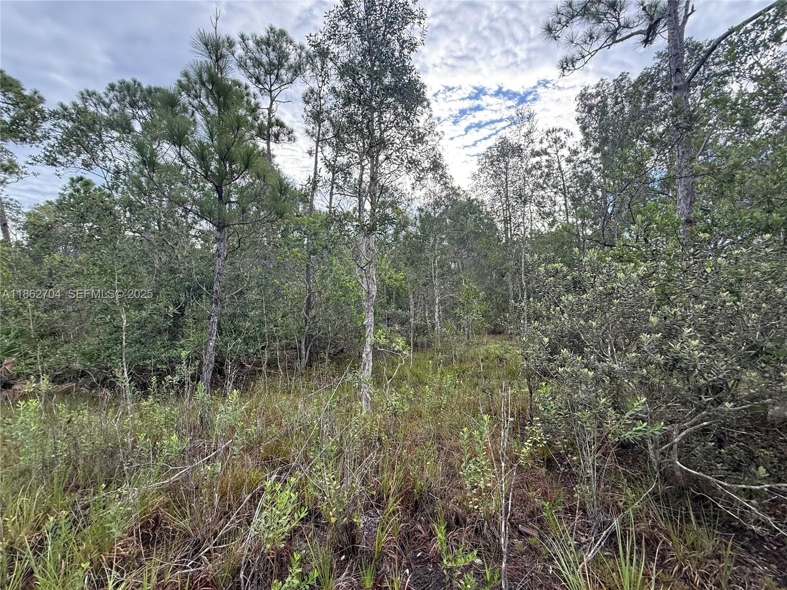 0000 Unassigned, Hobe Sound, FL 33455 photo 13