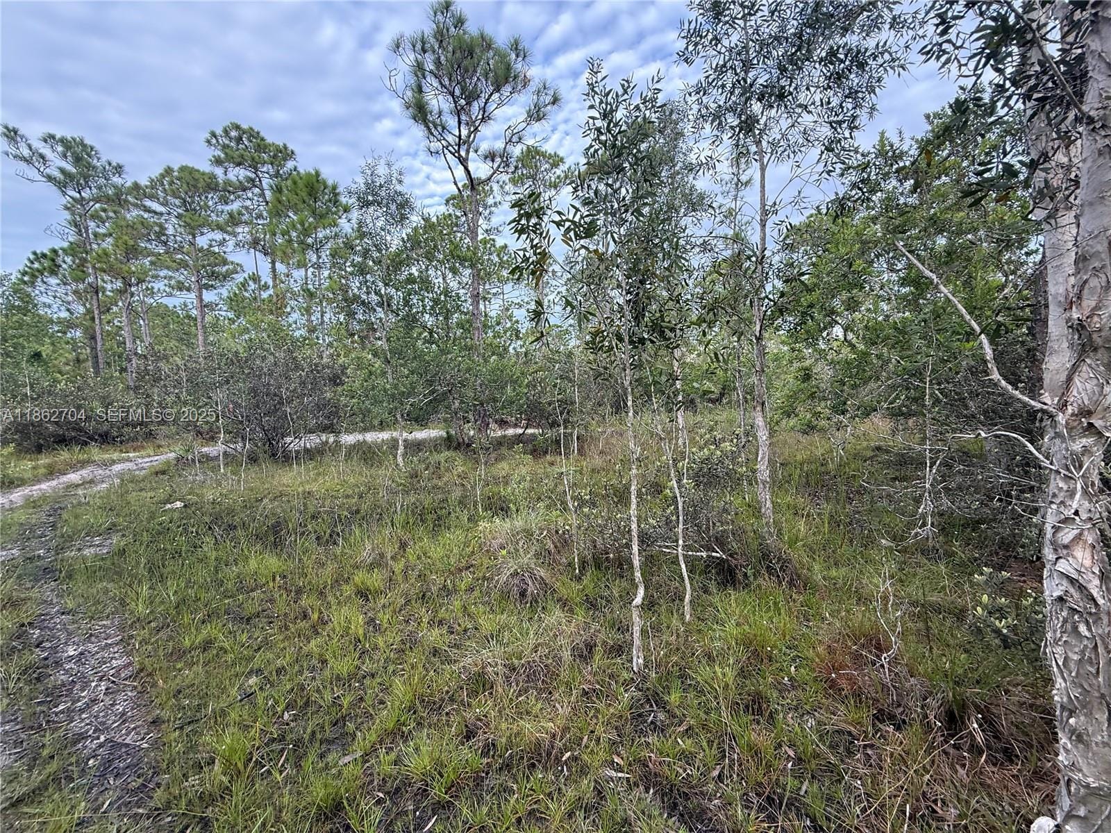 0000 Unassigned, Hobe Sound, FL 33455 photo 14