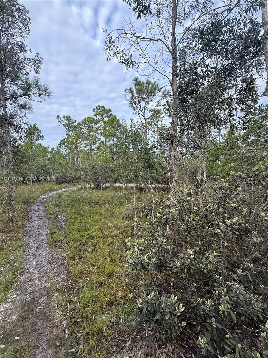 0000 Unassigned, Hobe Sound, FL 33455 photo 15