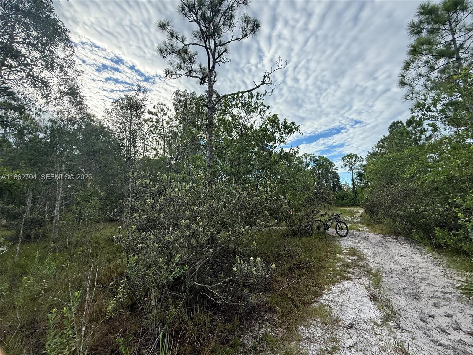 0000 Unassigned, Hobe Sound, FL 33455 photo 18
