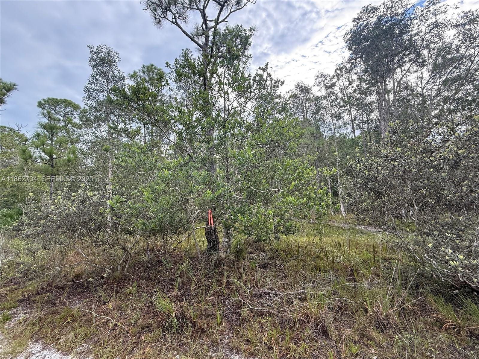 0000 Unassigned, Hobe Sound, FL 33455 photo 5