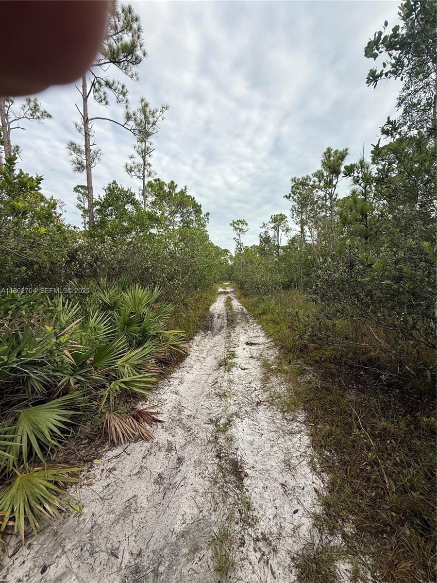 0000 Unassigned, Hobe Sound, FL 33455 photo 6