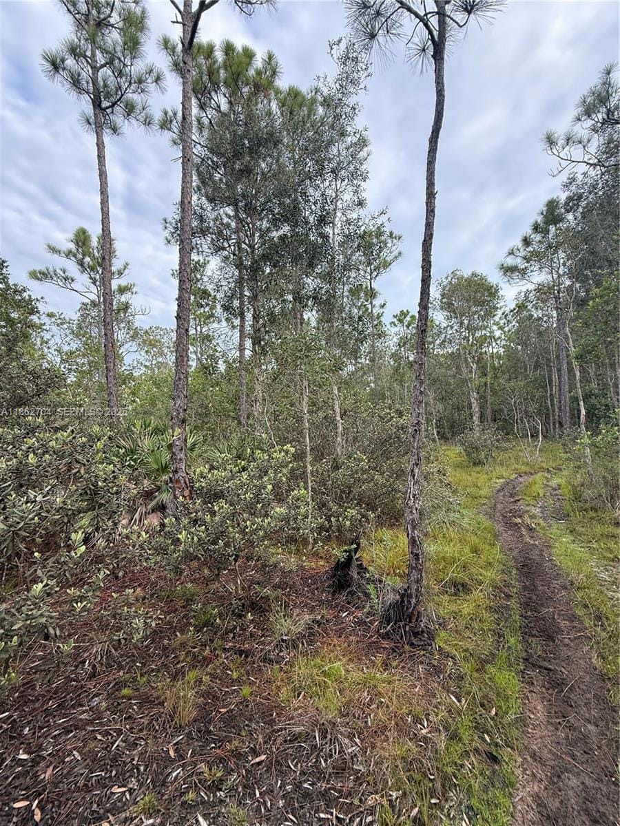 0000 Unassigned, Hobe Sound, FL 33455 photo 8