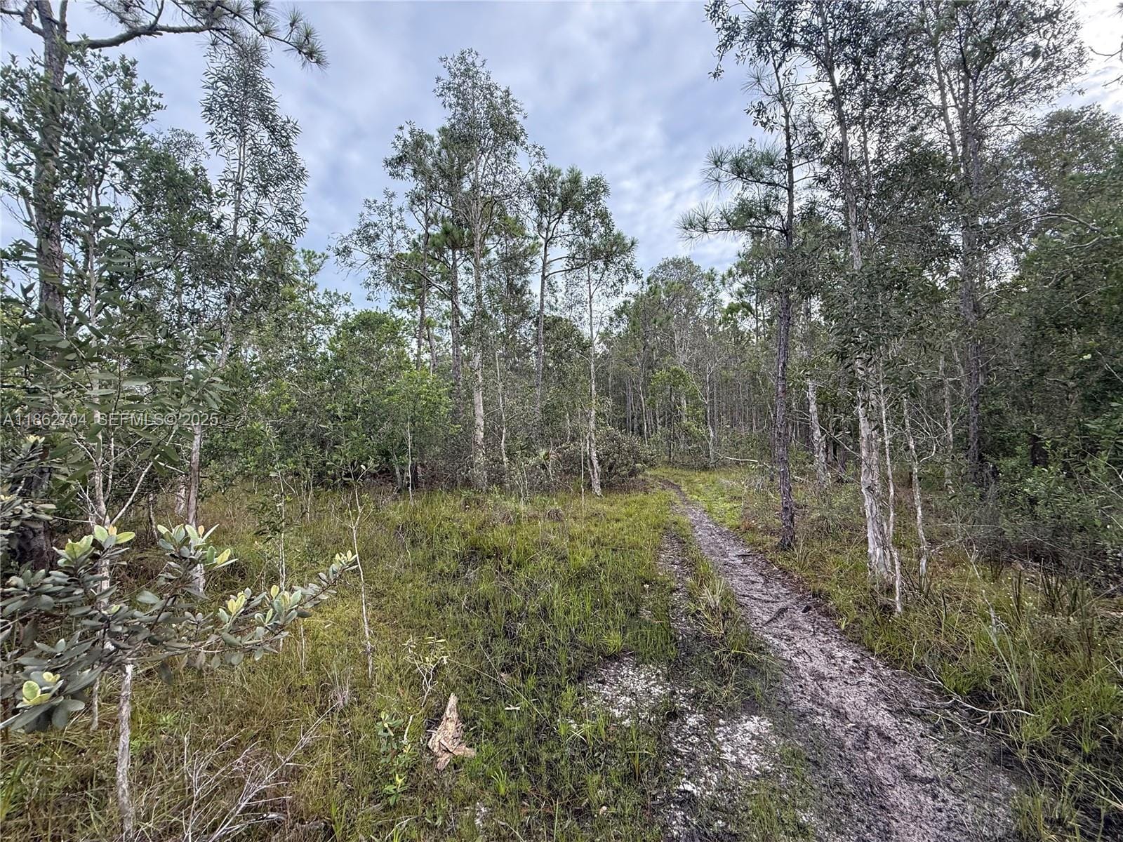 0000 Unassigned, Hobe Sound, FL 33455 photo 10