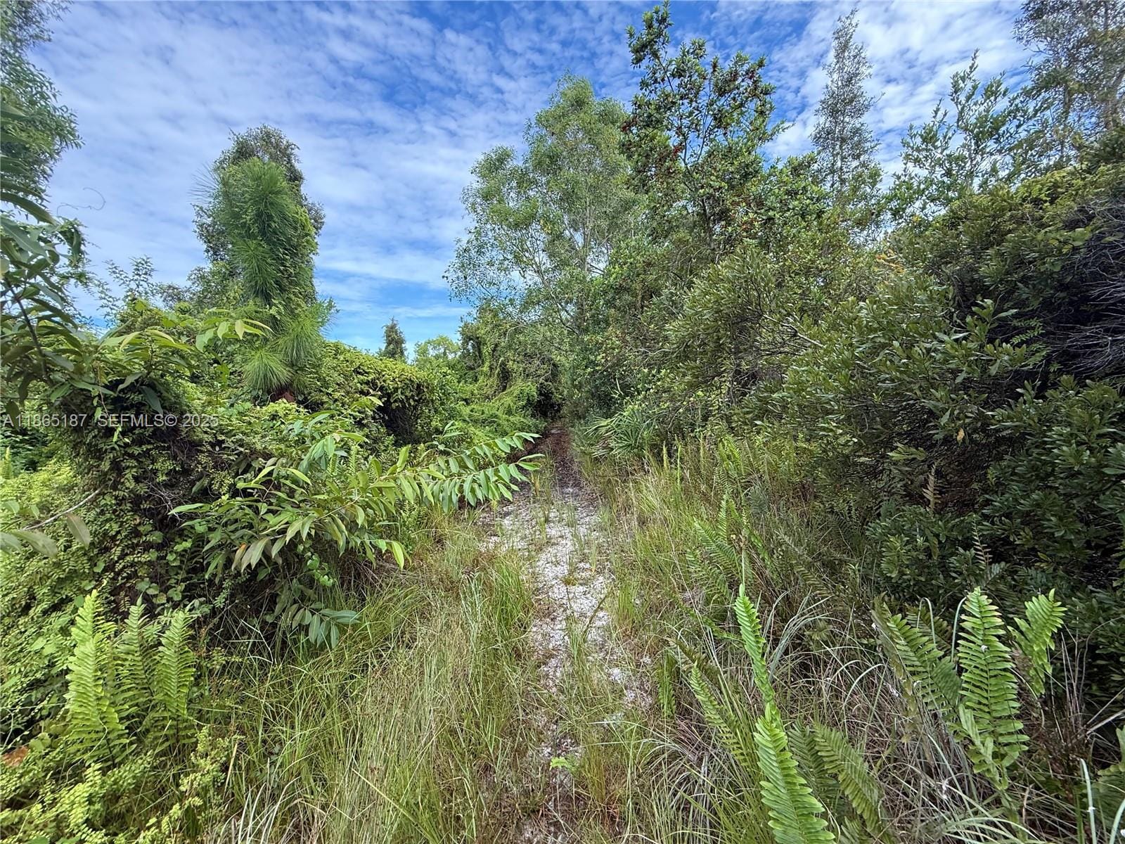0000 Unassigned, Hobe Sound, FL 33455
