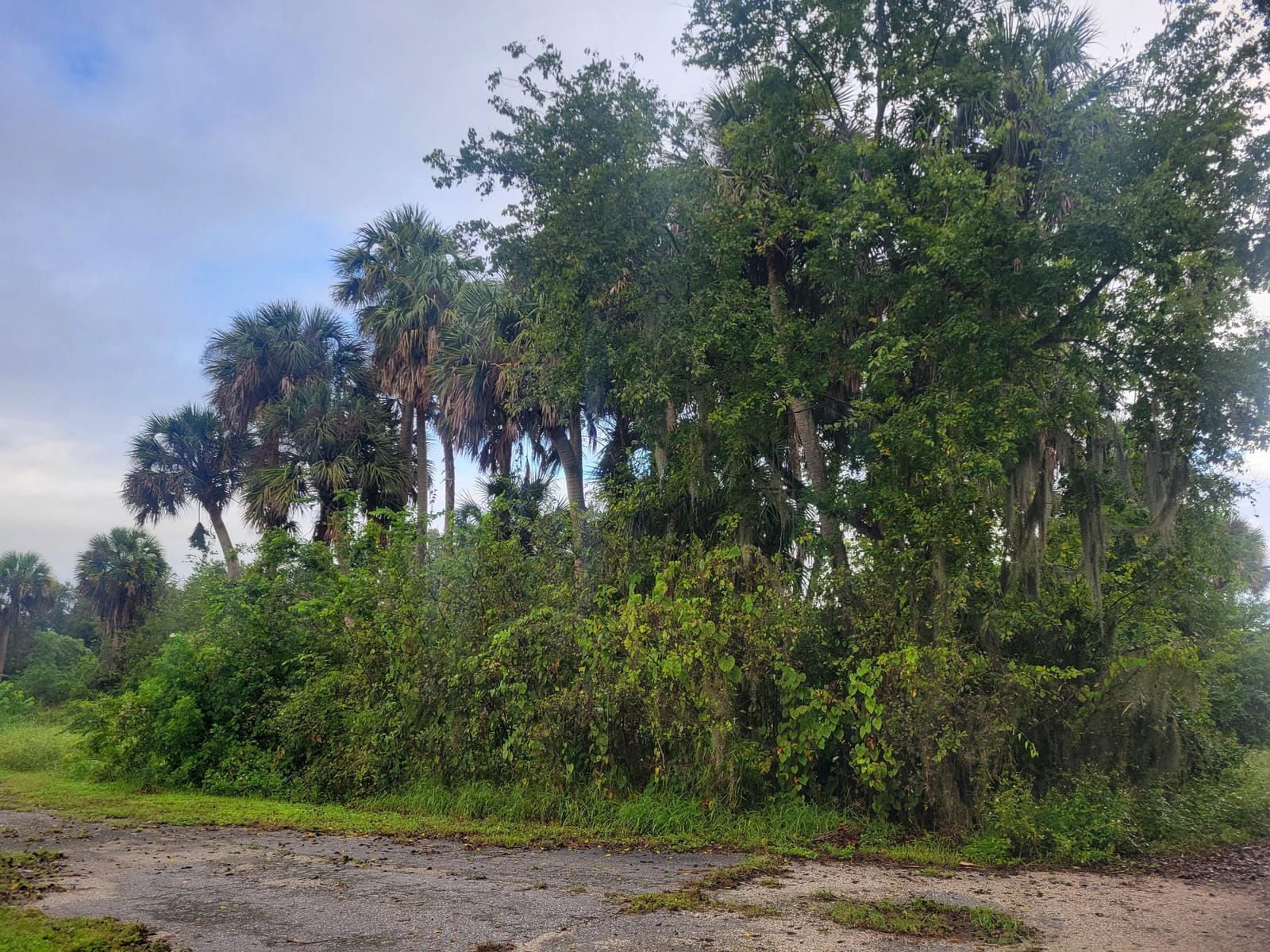 9097 SE 67th Way, Okeechobee, FL 34974 photo 2