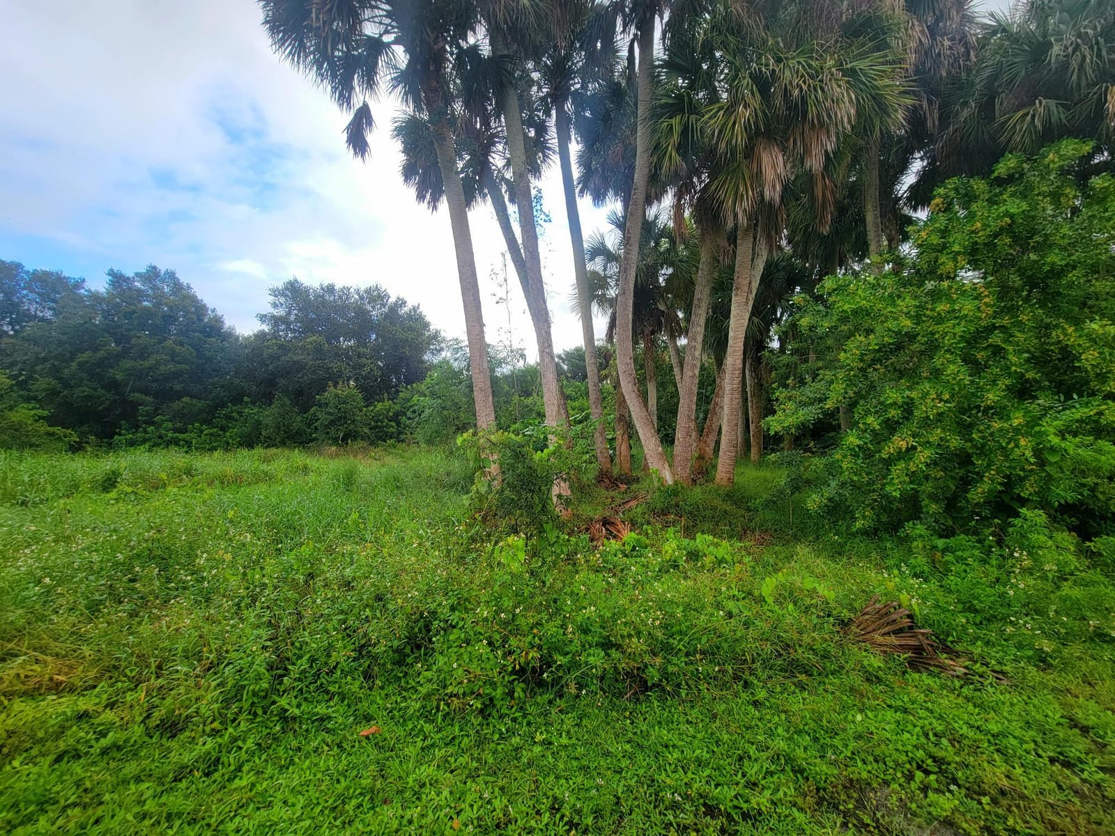 9097 SE 67th Way, Okeechobee, FL 34974 photo 3