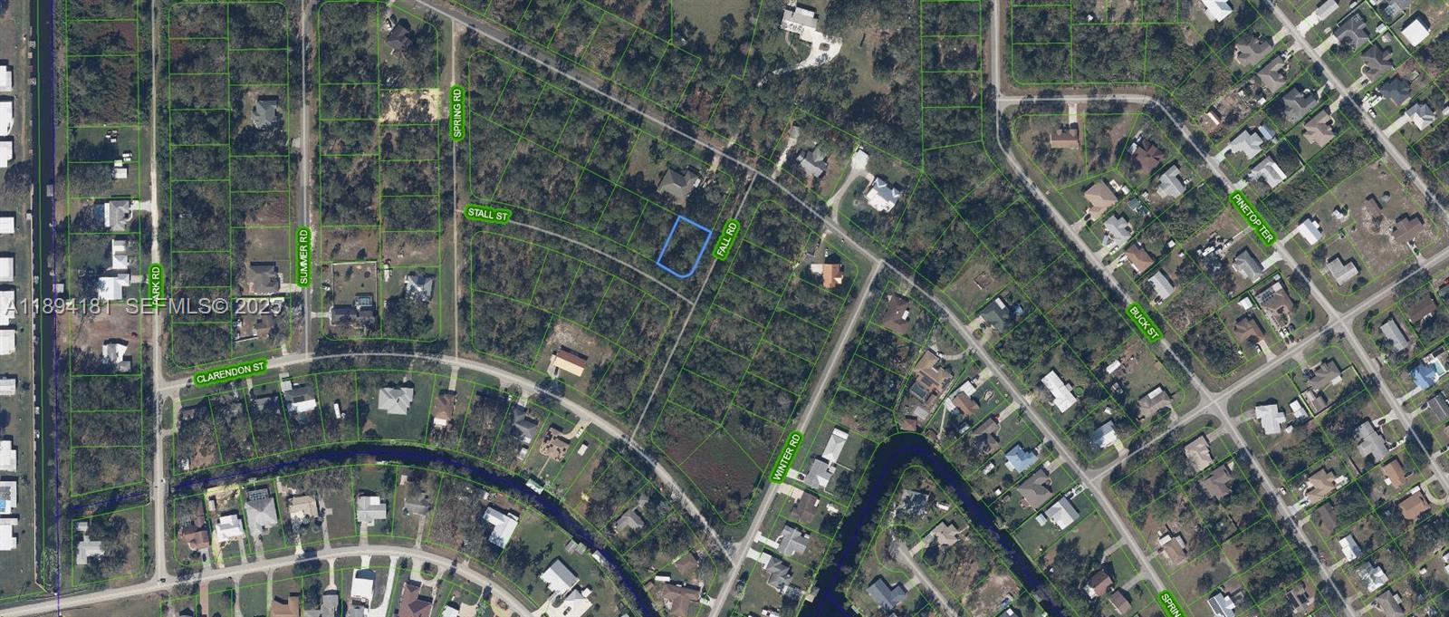 1431 Stall Street, Lake Placid, FL 33852, Lake Placid