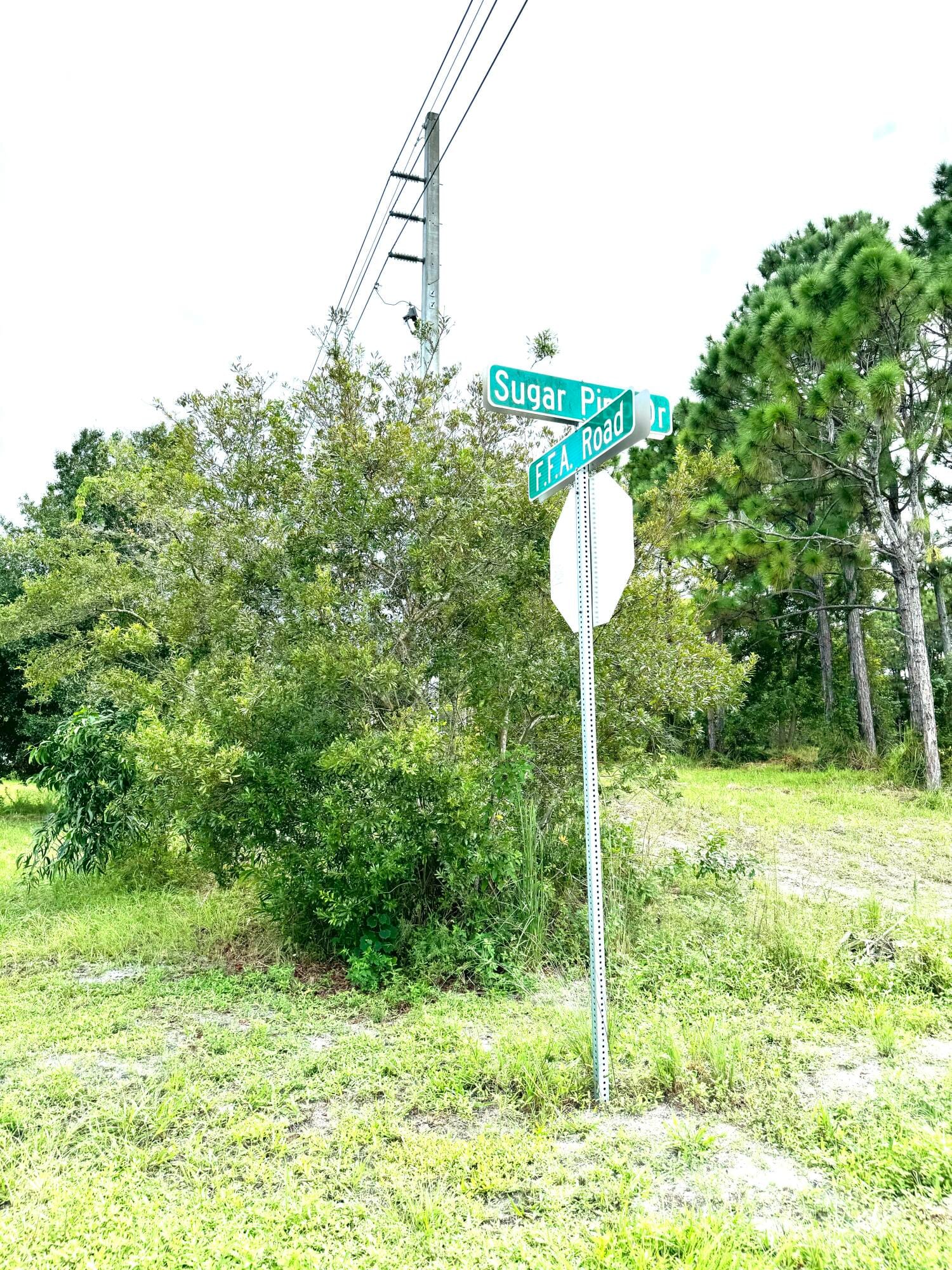 10615 Sugar Pine Drive, Fort Pierce, FL 34945 photo 15