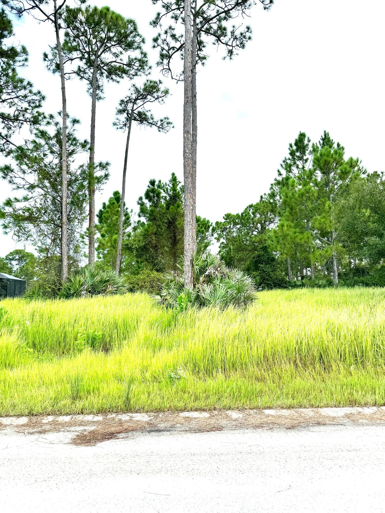 10615 Sugar Pine Drive — photo 4