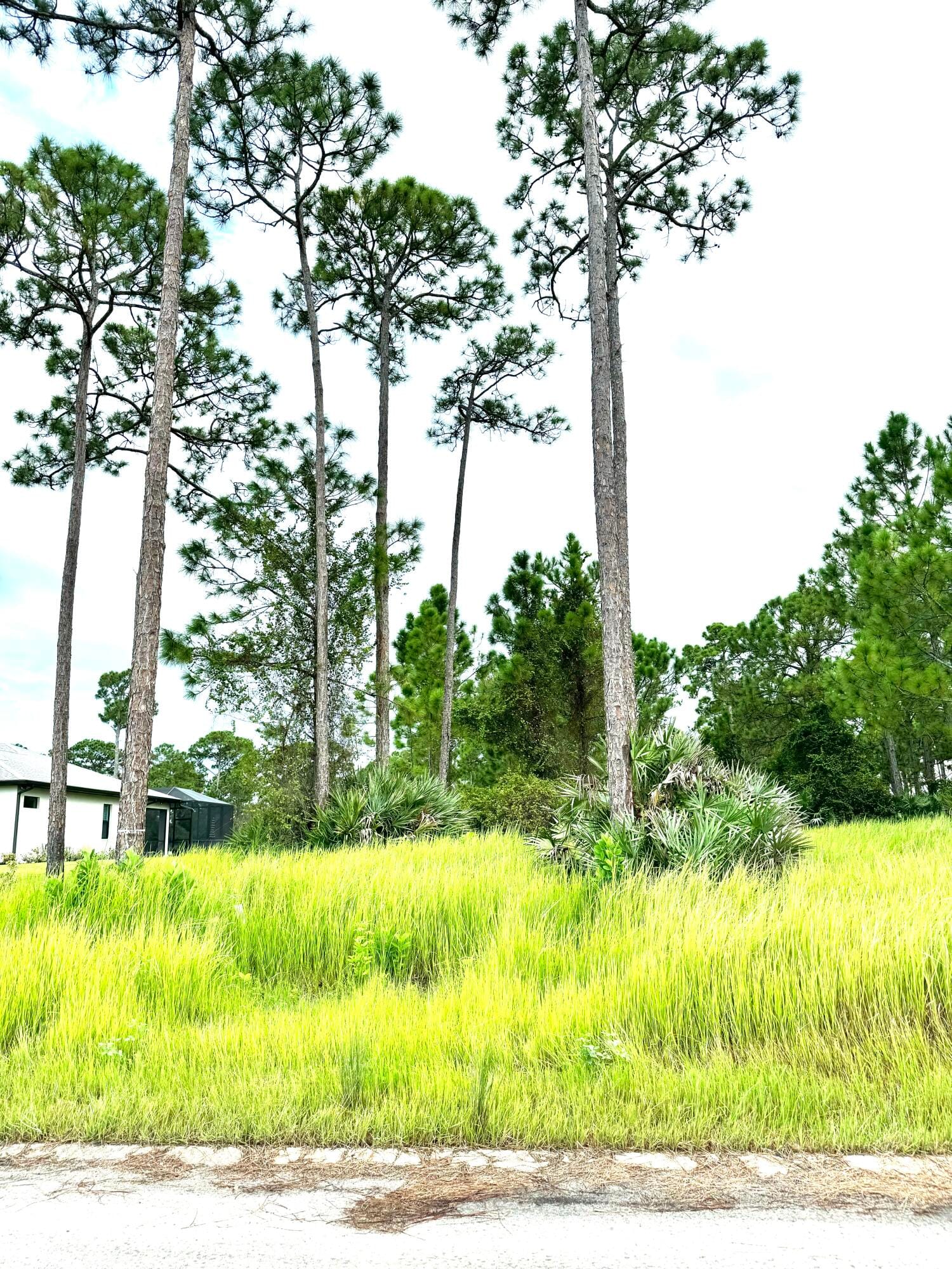 10615 Sugar Pine Drive — photo 9